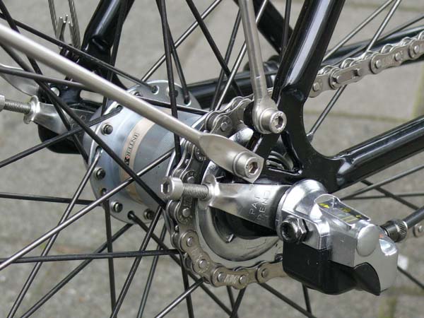Pedersen4